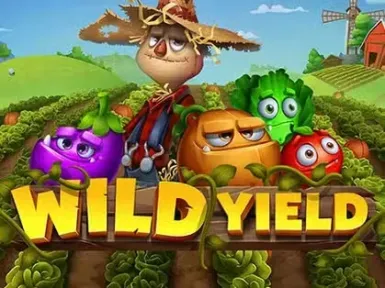 Velobet Casino screenshot